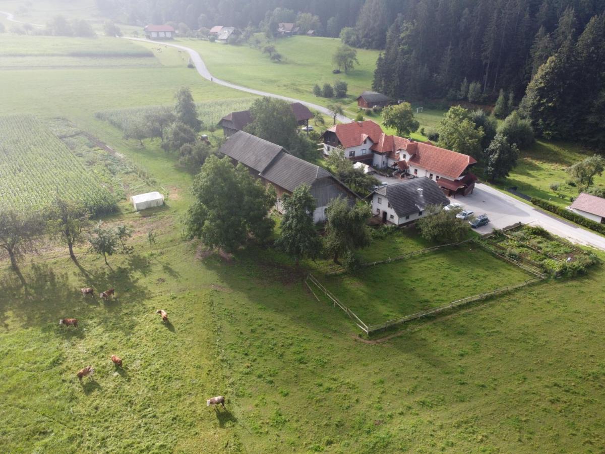 Villa Tourist Farm Klevz à Slovenj Gradec Extérieur photo